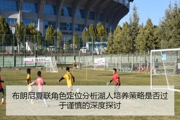 布朗尼夏联角色定位分析湖人培养策略是否过于谨慎的深度探讨